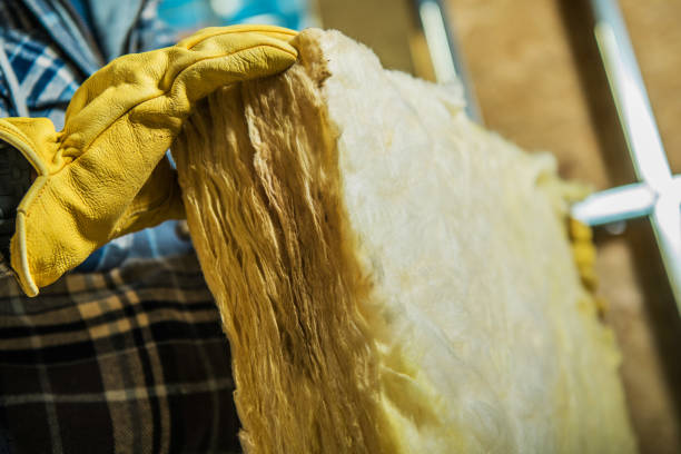 Best Insulation Installation Services in Fort Mitchell, KY