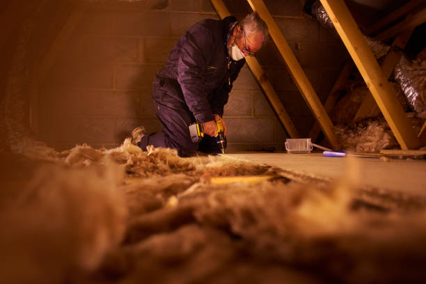 Best Insulation Maintenance and Repair in Fort Mitchell, KY